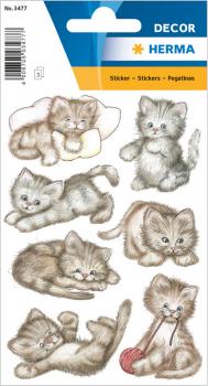 Droll kitten paper stickers
